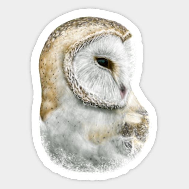 Barn Owl Sticker by rainetteillus